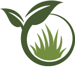 Key Camellia Planting